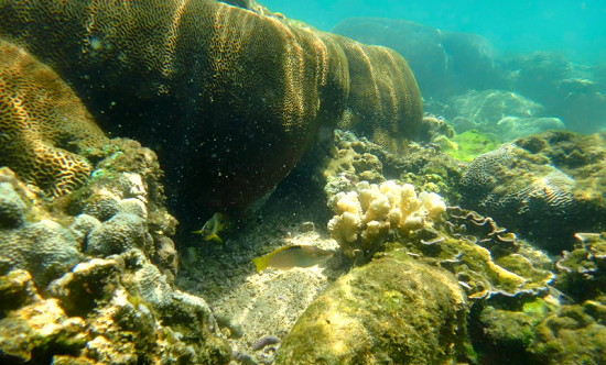 Pantai Sandranan