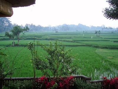 Ubud Bali