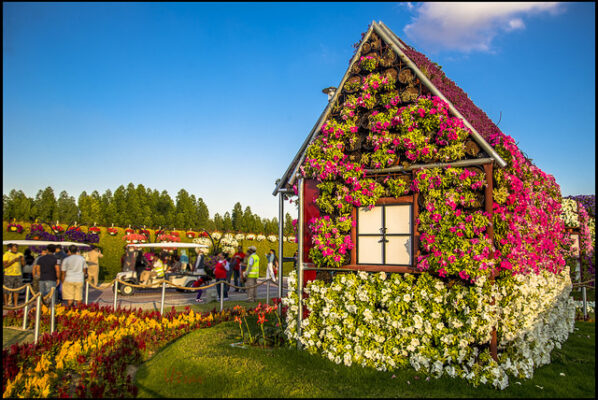 Aromatic Garden