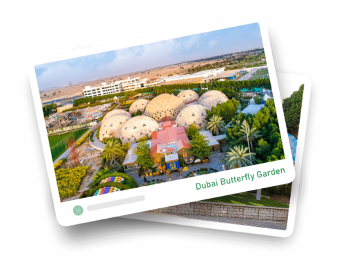 Dubai Butterfly Garden 2