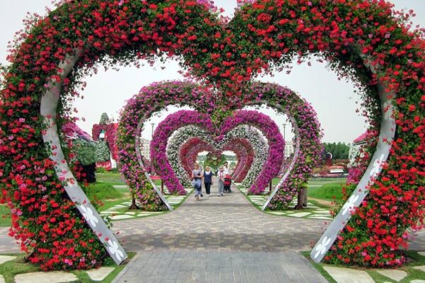 Dubai Miracle Garden Love