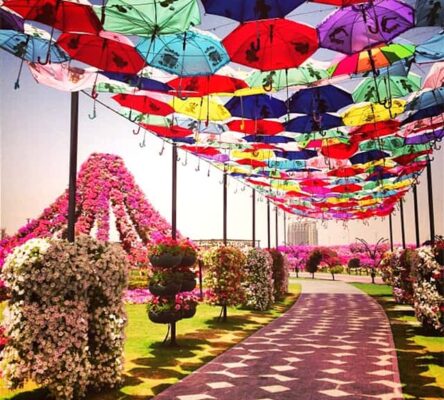 Dubai Miracle Garden Umbrella Tunnel