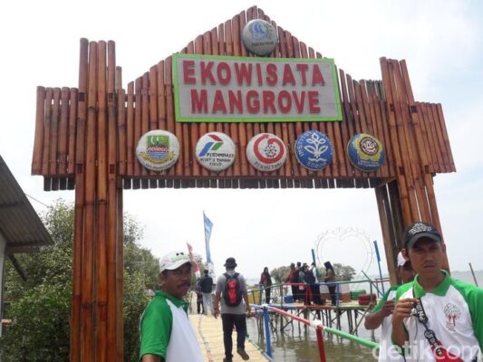 Ekowisata Mangrove