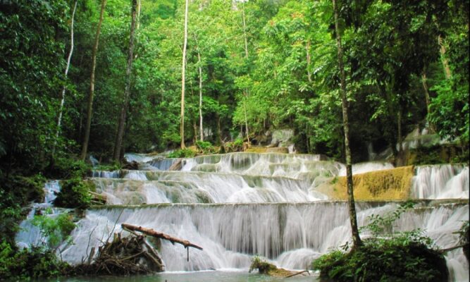 Rimba Suaka Tanjung Peropa