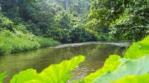 Taman Nasional Bukit Tiga Puluh