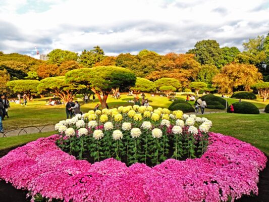 Taman Shinjuku Gyoen