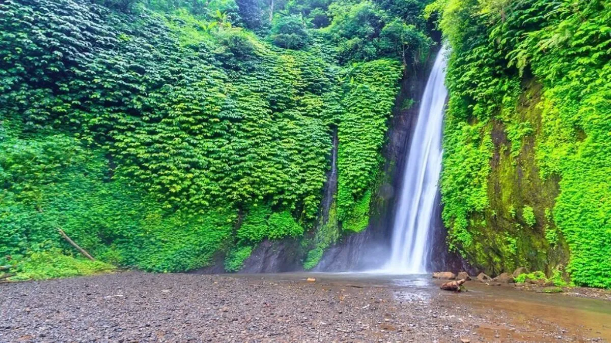 Bukti Ciptaan Nya Termanifestasi Dalam Air Terjun Pujungan Travelbiz 