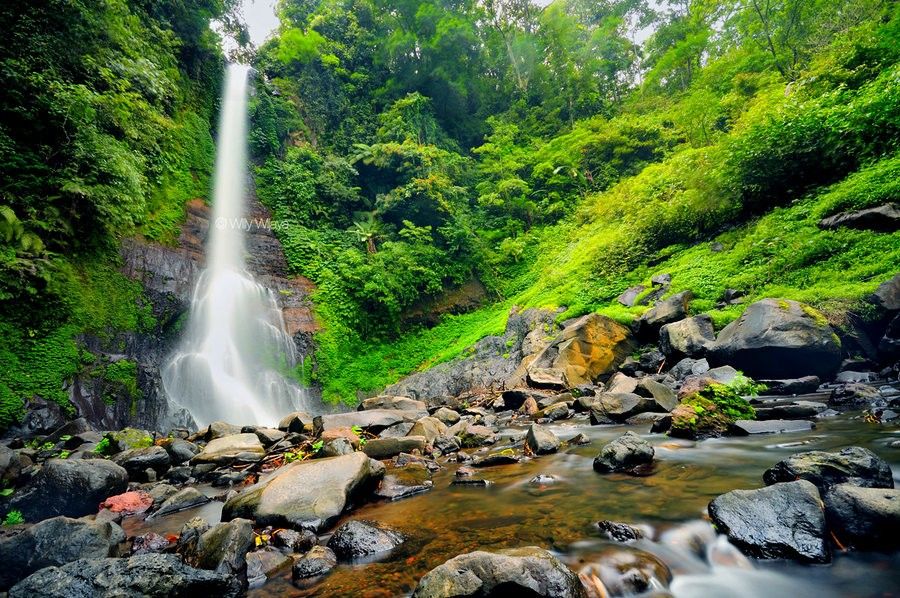 Hadiah Alam Air Terjun Les di Bali