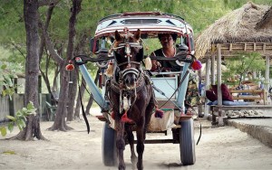 Cidomo di Gili Trawangan