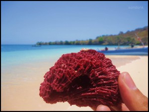 Pantai Tangsi