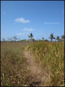 Pantai Toemang Omang 