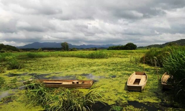 keindahan upo marsh korea selatan