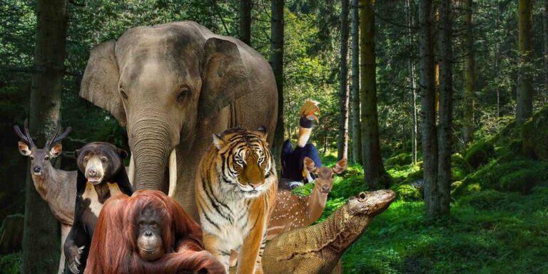Berwisata Sambil Belajar di Kebun Binatang Ragunan Berwisata Sambil Belajar di Kebun Binatang Ragunan
