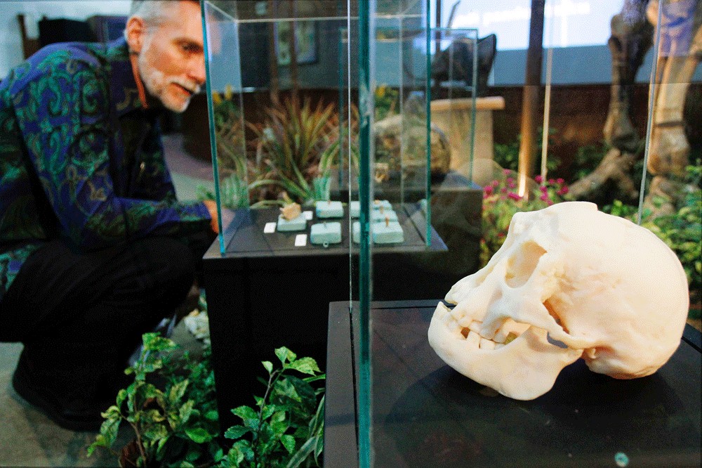 Gua Liang Bua Jejak Manusia Kerdil (Hobbit) di Pulau Flores