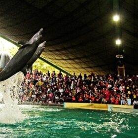 Ocean Dream Samudra Ancol