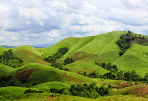 Savana Bukit Teletubbies