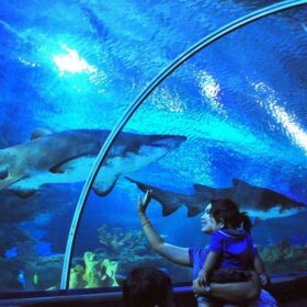 Seaworld Ancol