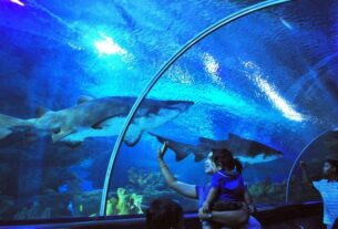 Seaworld Ancol