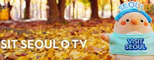 Visit Seoul TV