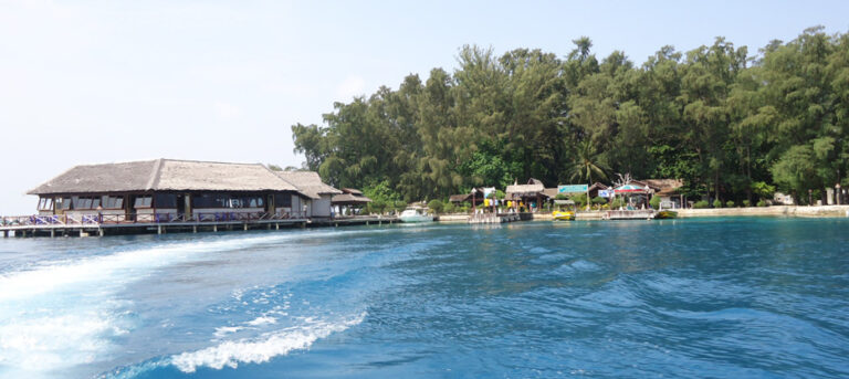 Pulau Pelangi, Pulau Dengan Pohon Yang Rindang & Lebat! Pulau Pelangi, Pulau Dengan Pohon Yang Rindang & Lebat!