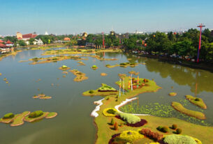 tmii