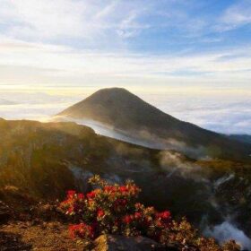 Gunung Gede