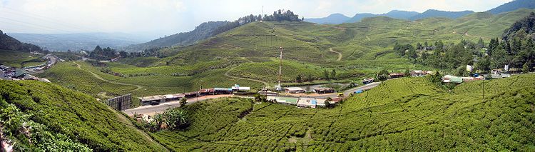 Kawasan Puncak Bogor