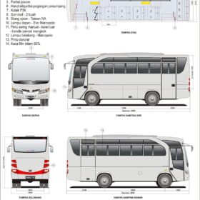 Macam-macam Ukuran dan Tipe Bus Pariwisata