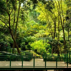 Taman Babakan Siliwangi