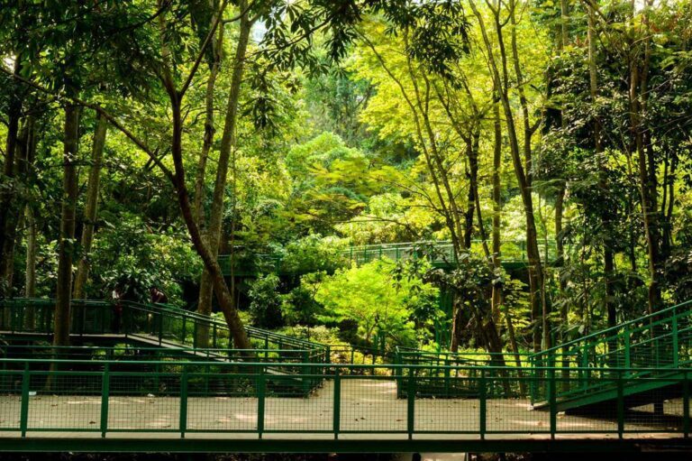 Tempat Wisata Di Indonesia Yang Indah Juga Murah Tempat Wisata Di Indonesia Yang Indah Juga Murah
