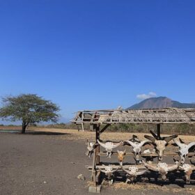 Taman Nasional Baluran