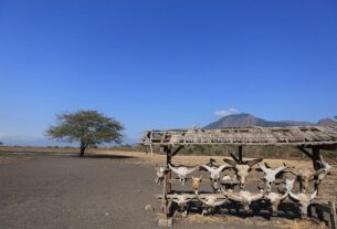 Taman Nasional Baluran