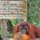 Taman Nasional Tanjung Puting