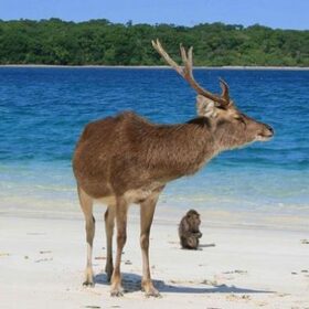 Taman Nasional Ujung Kulon