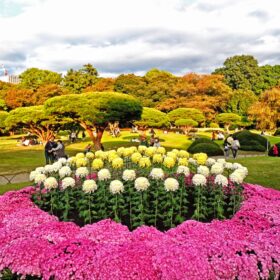 Taman Shinjuku Gyoen