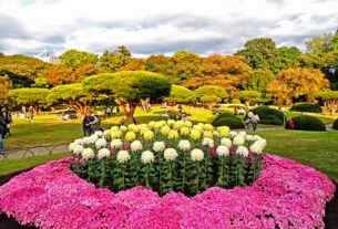 Taman Shinjuku Gyoen