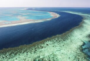 karang penghalang queensland