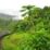 Jungle Railway Kelantan