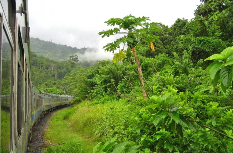Yuk Menjelajah Alam dengan Jungle Railway Kelantan Yuk Menjelajah Alam dengan Jungle Railway Kelantan