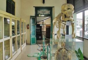 Museum Biologi UGM