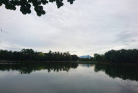 Setu Pengasinan Depok