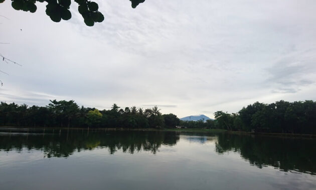 Setu Pengasinan Depok