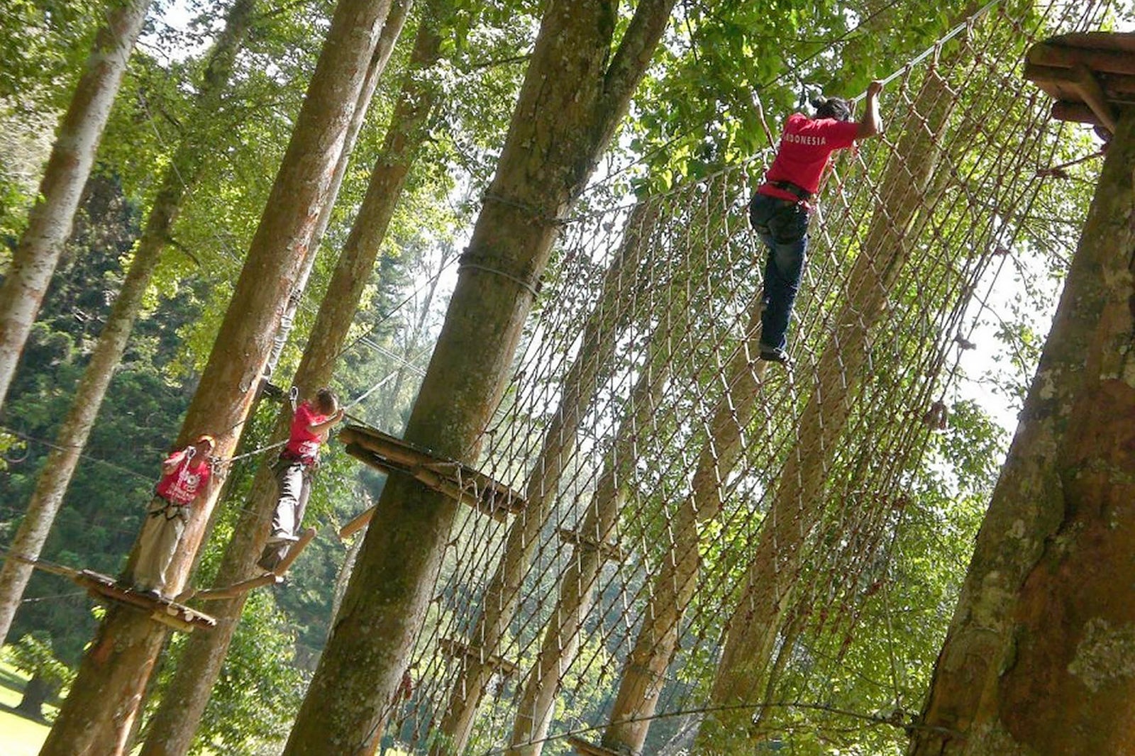 Bali Treetop Adventure Park di Bedugul