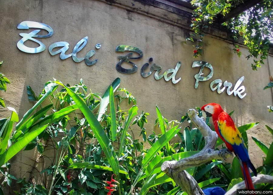 Berkunjung Ke Taman Burung Aneka Warna Bali