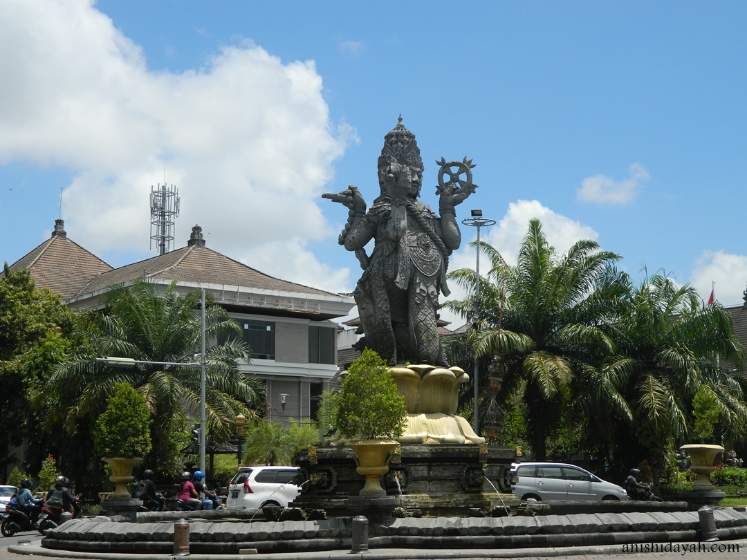 DSCN6582