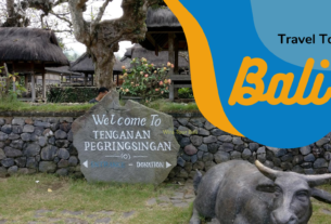 Denpasar , Desa Tenganan , Karangasem