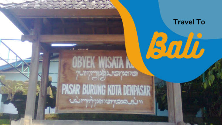 Kemerduan Suara Burung-burung di Pasar Satria Denpasar Kemerduan Suara Burung-burung di Pasar Satria Denpasar
