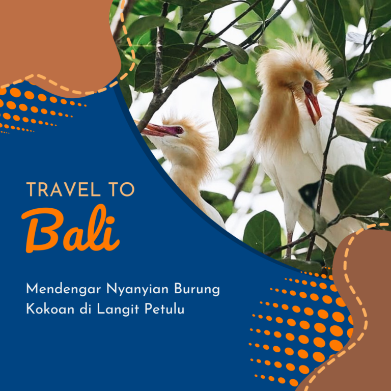 Mendengar Nyanyian Burung Kokoan di Langit Petulu Mendengar Nyanyian Burung Kokoan di Langit Petulu