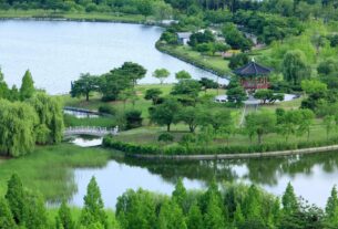 Danau Ilsan, Goyang
