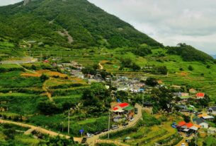 Darangee Village